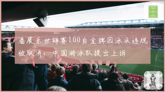 潘展乐世锦赛100自金牌因泳衣违规被取消，中国游泳队提出上诉