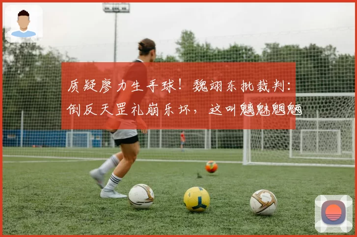 质疑廖力生手球！魏翊东批裁判：倒反天罡礼崩乐坏，这叫魑魅魍魉